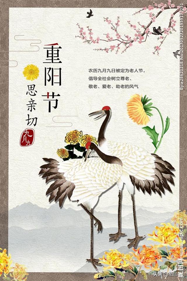 九九重陽(yáng)節(jié)，你們的家鄉(xiāng)都有哪些習(xí)俗？